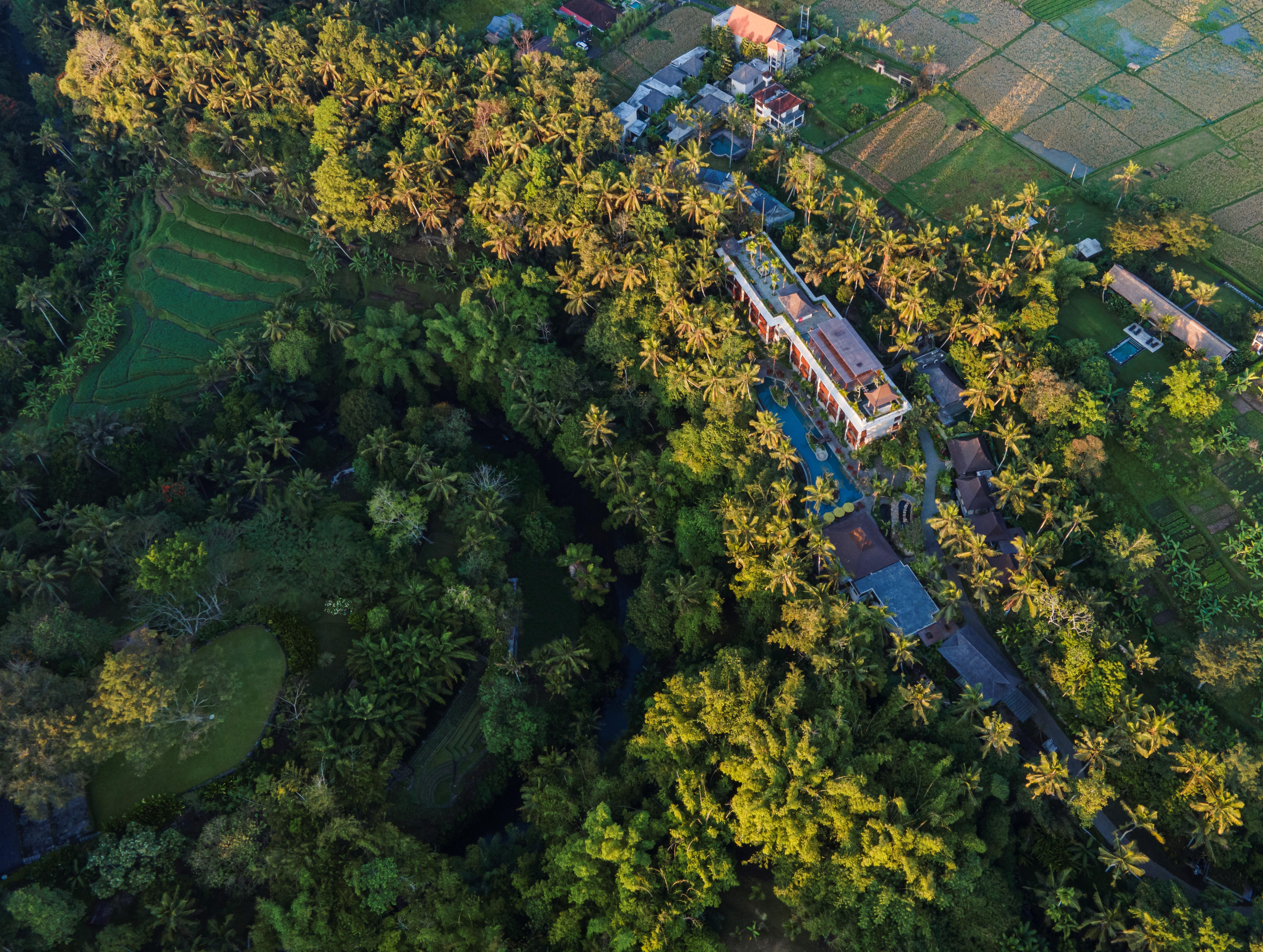 Arkamara Dijiwa Ubud エクステリア 写真